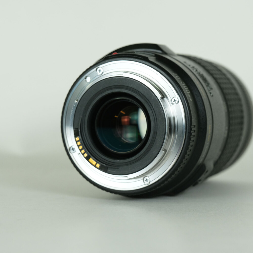 Canon EF70-300mm F4-5.6 IS USM
