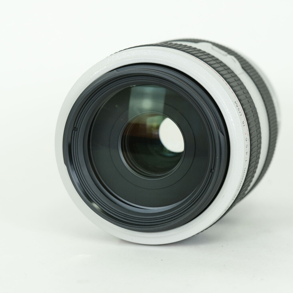 Canon EF70-300mm F4-5.6L IS USM