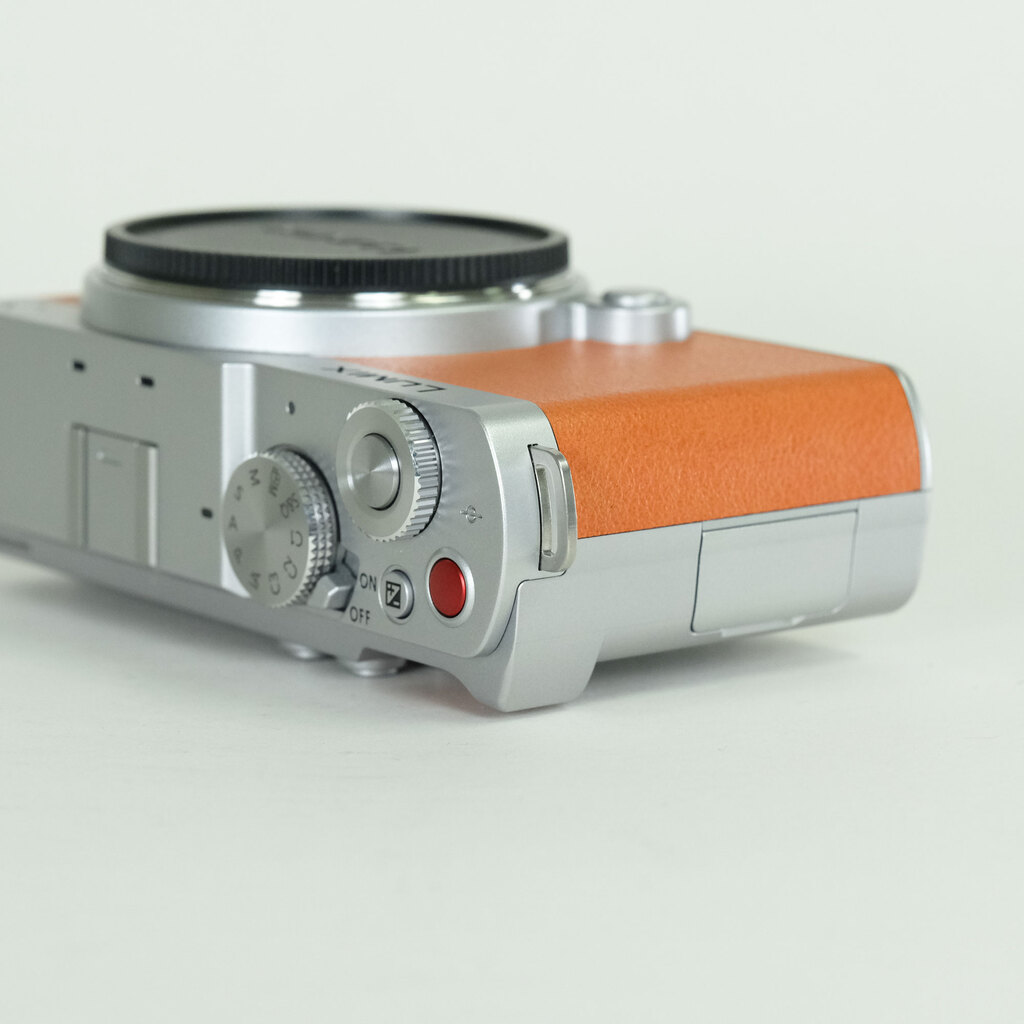 Panasonic LUMIX DC-S9 Panasonic LUMIX DC-S9