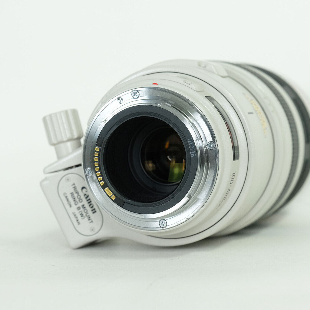 Canon EF100-400mm F4.5-5.6L IS USM