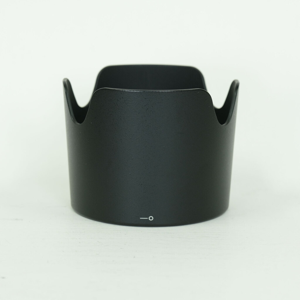 Nikon AF-S VR Zoom-Nikkor 70-300mm F4.5-5.6G IF-ED