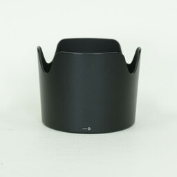 Nikon AF-S VR Zoom-Nikkor 70-300mm F4.5-5.6G IF-ED