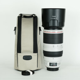 Canon EF100-400mm F4.5-5.6L IS II USM