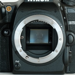 Nikon D7500