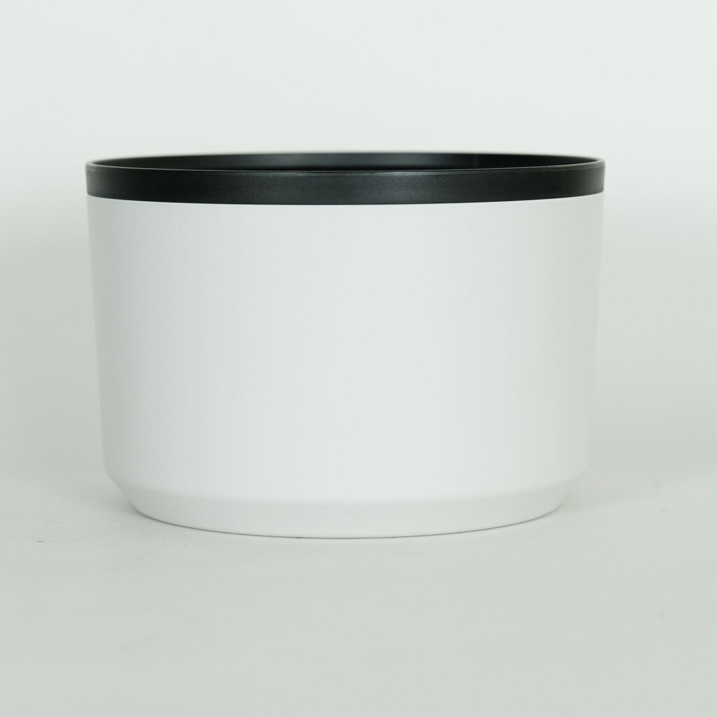 Canon RF100-500mm F4.5-7.1L IS USM