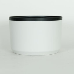 Canon RF100-500mm F4.5-7.1L IS USM