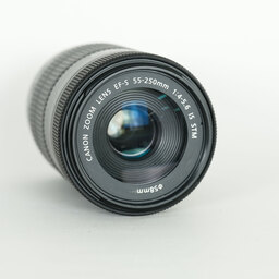 Canon EF-S55-250mm F4-5.6 IS STM Canon EF-S55-250mm F4-5.6 IS STM