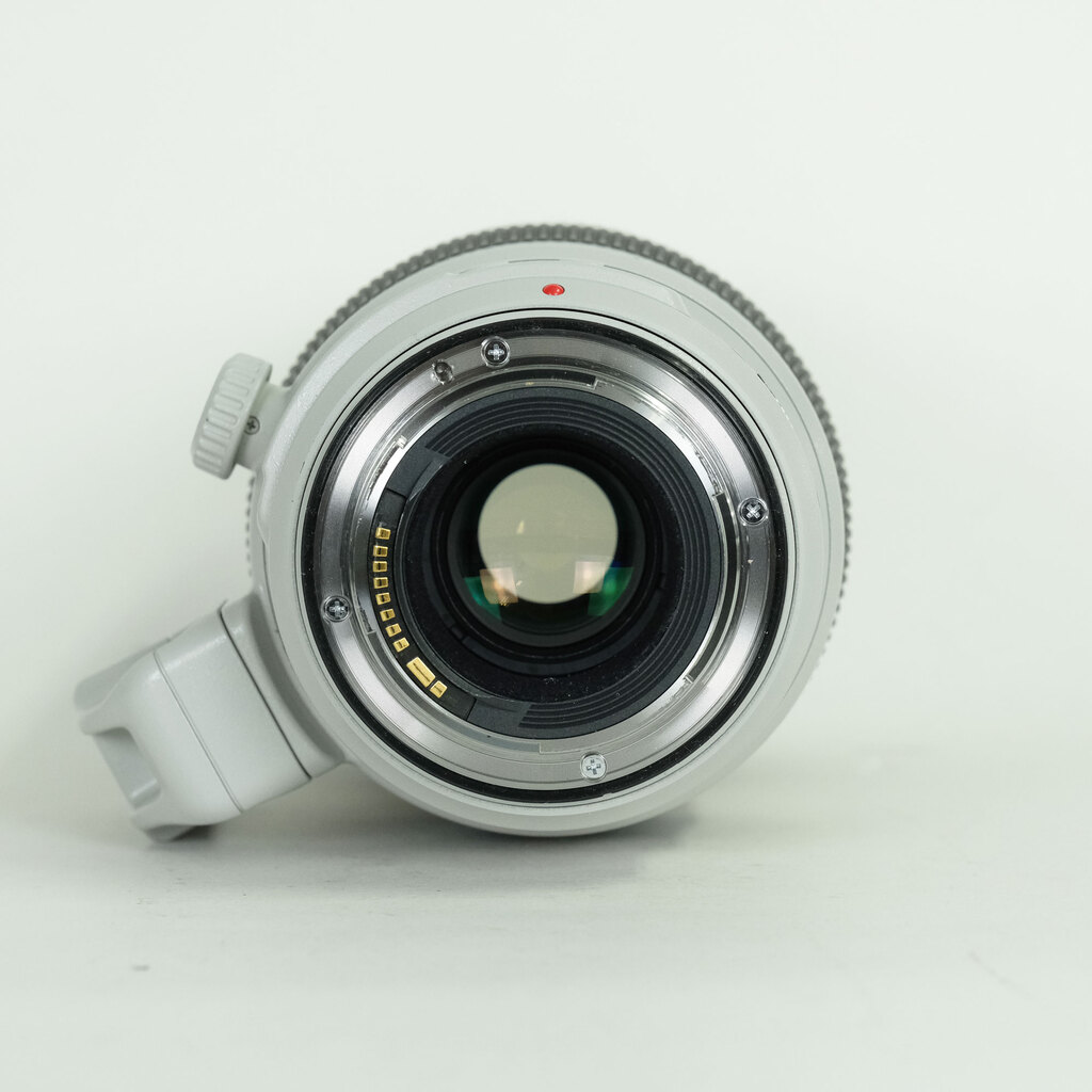 Canon EF100-400mm F4.5-5.6L IS II USM