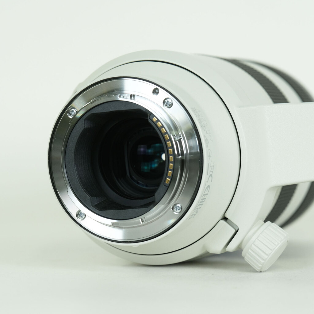 SONY FE70-200mm F4 Macro G OSS II SEL70200G2