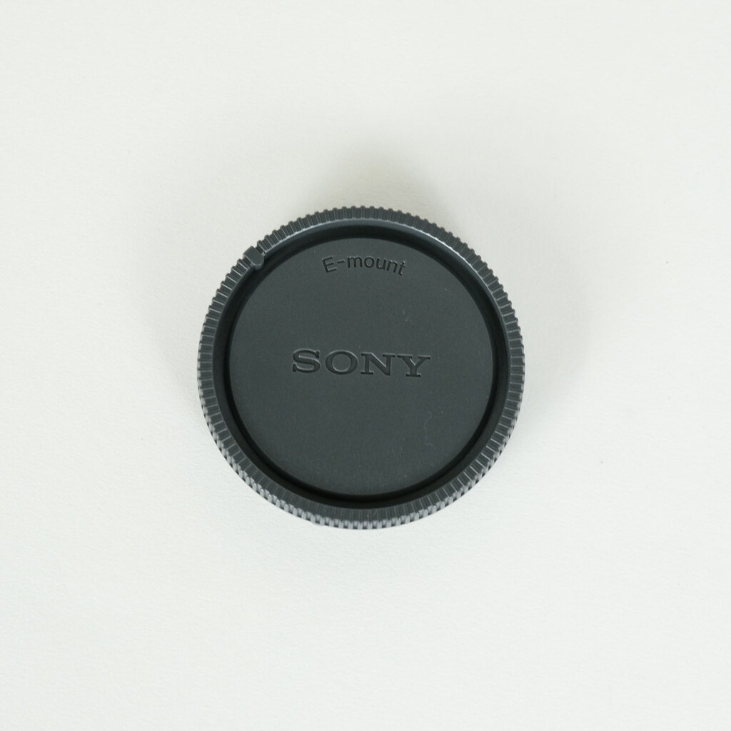 SONY FE 24-105mm F4 G OSS SEL24105G