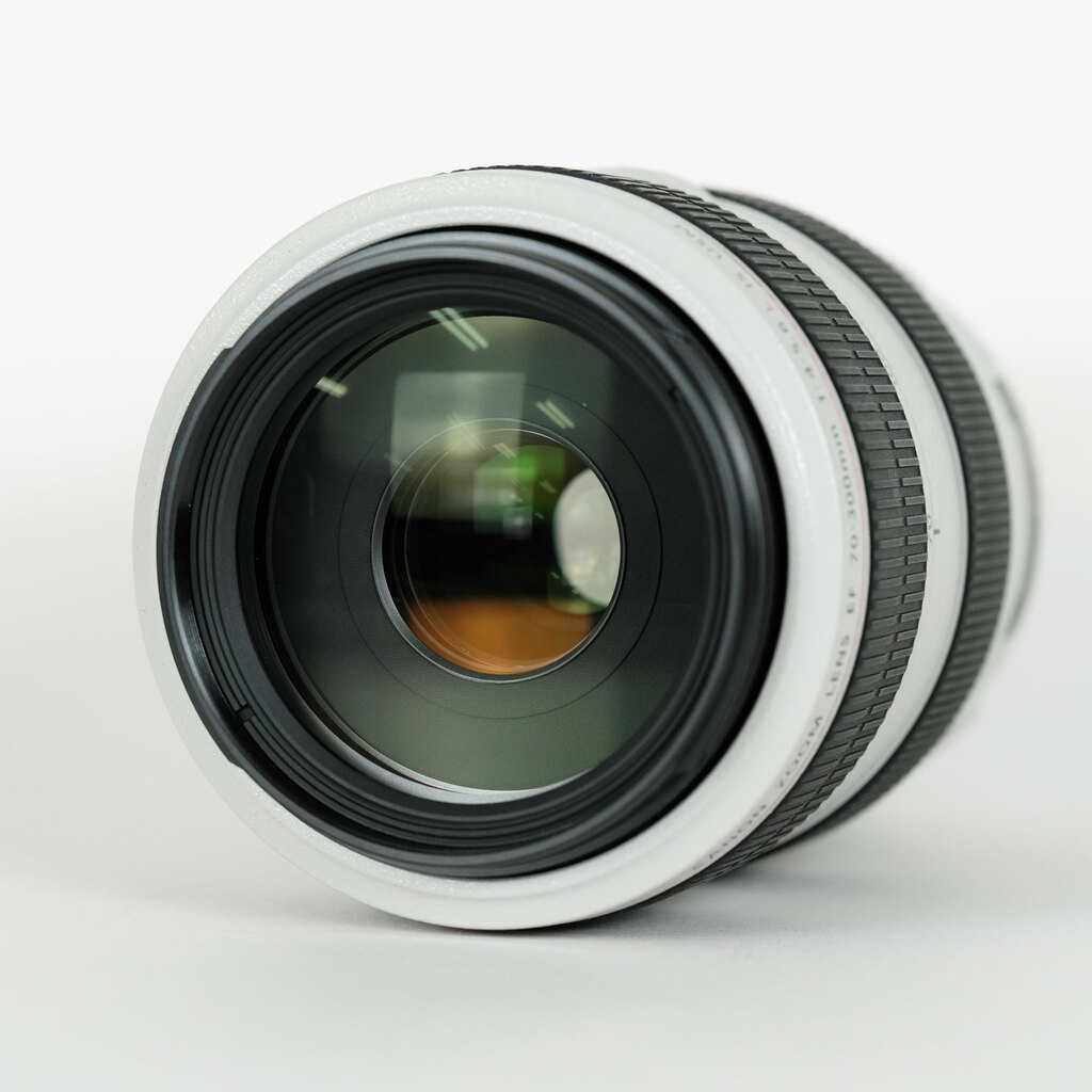 Canon EF70-300mm F4-5.6L IS USM