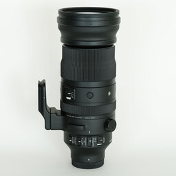 SIGMA 150-600mm F5-6.3 DG DN OS｜Sports [ソニーE用]