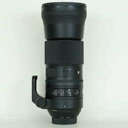SIGMA 150-600mm F5-6.3 DG OS HSM｜Contemporary [ニコンF用]