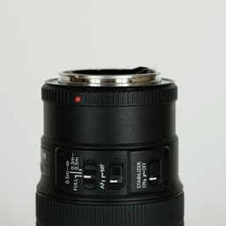 Canon EF100mm F2.8Lマクロ IS USM