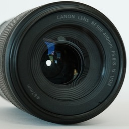 Canon RF100-400mm F5.6-8 IS USM