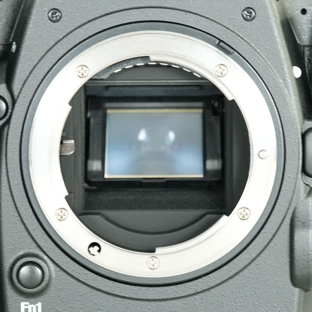 Nikon D500 Nikon D500