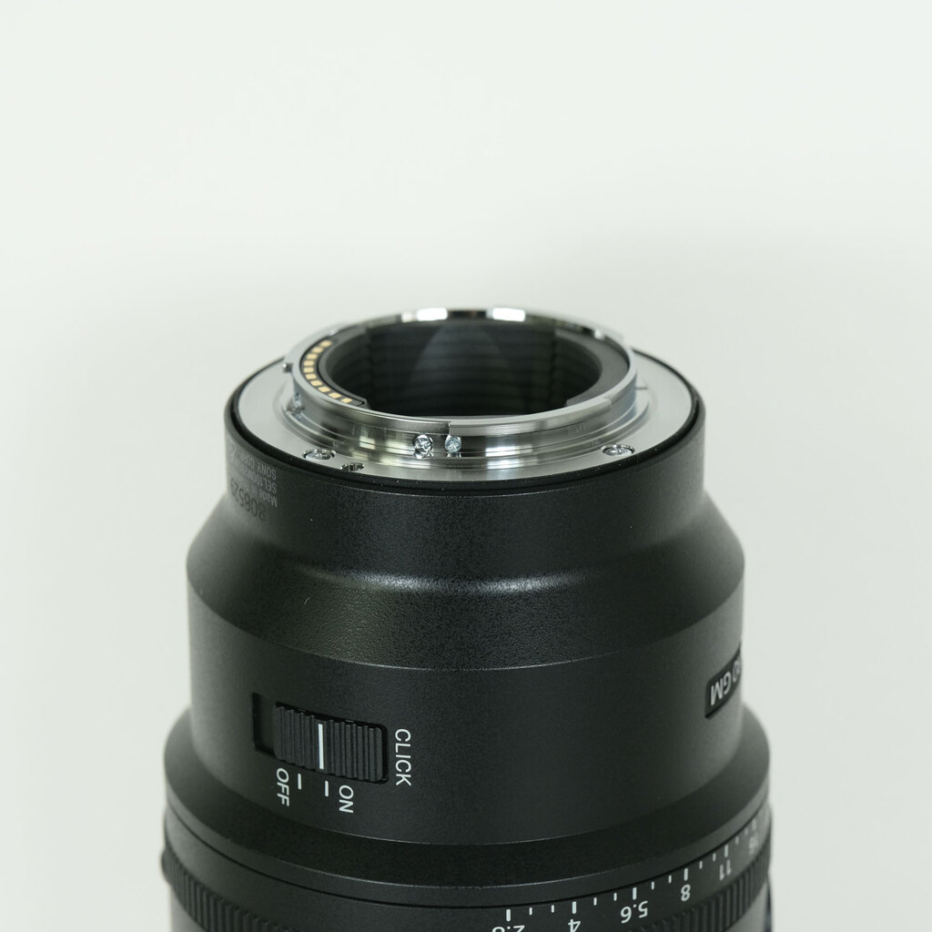 SONY FE 100mm F2.8 Macro GM OSS SEL100M28GM