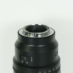 SONY FE 100mm F2.8 Macro GM OSS SEL100M28GM
