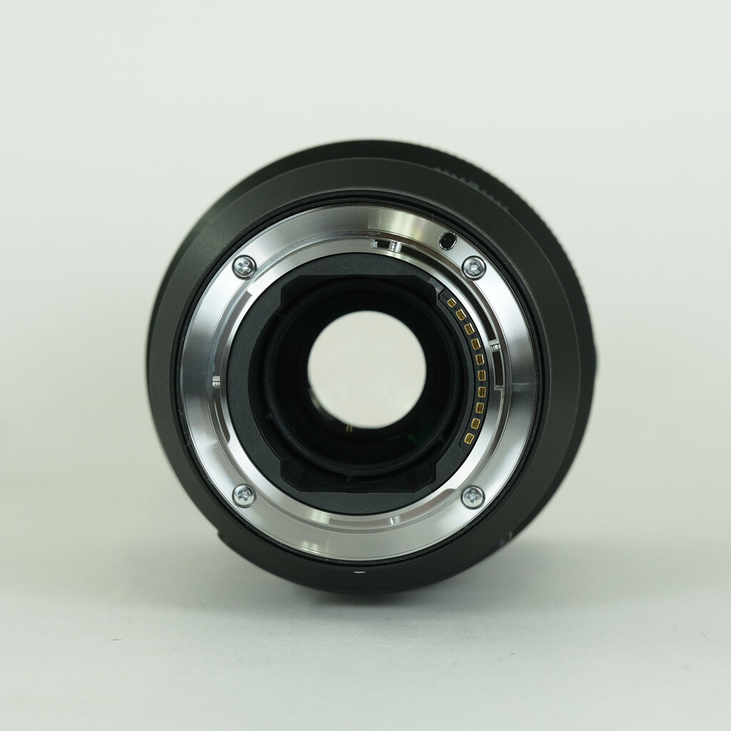 SONY FE 100mm F2.8 Macro GM OSS SEL100M28GM SONY FE 100mm F2.8 Macro GM OSS SEL100M28GM