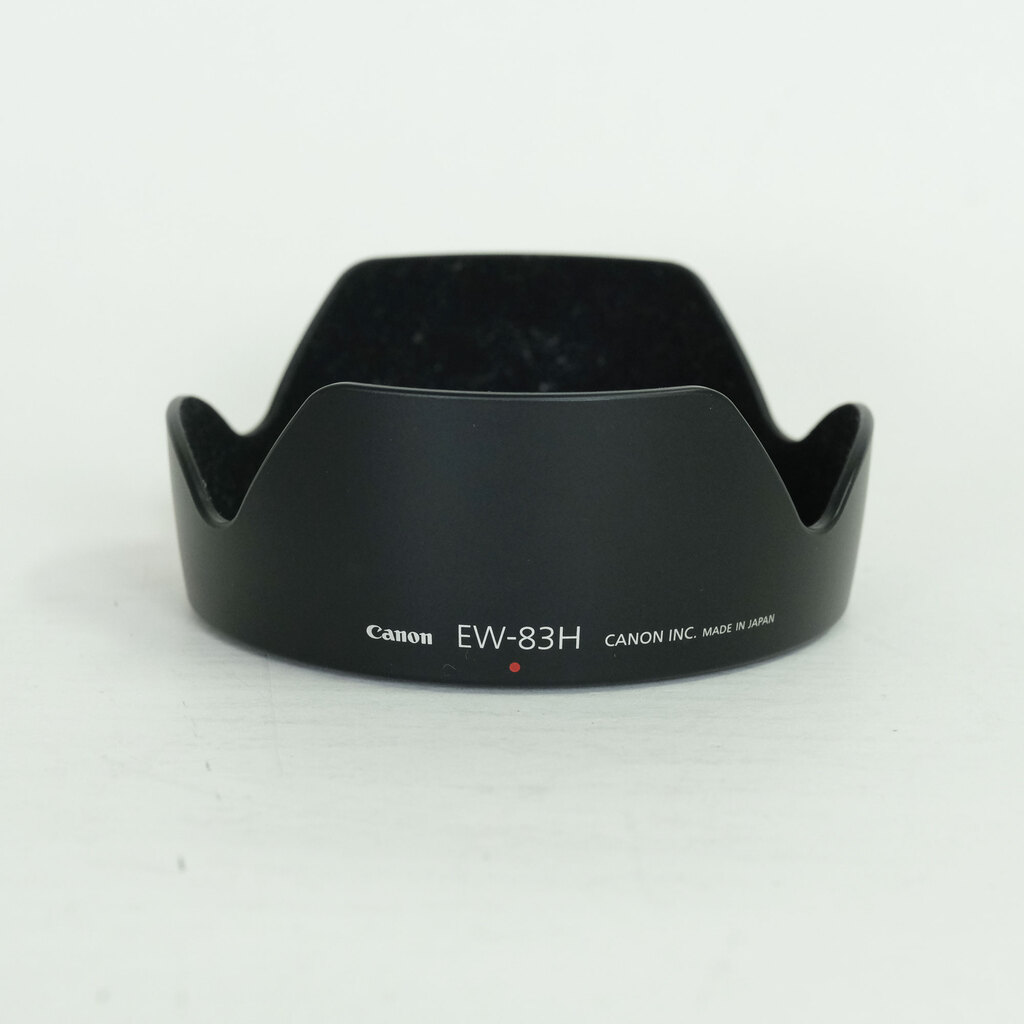 Canon EF24-105mm F4L IS USM