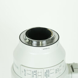 SONY FE 200-600mm F5.6-6.3 G OSS SEL200600G