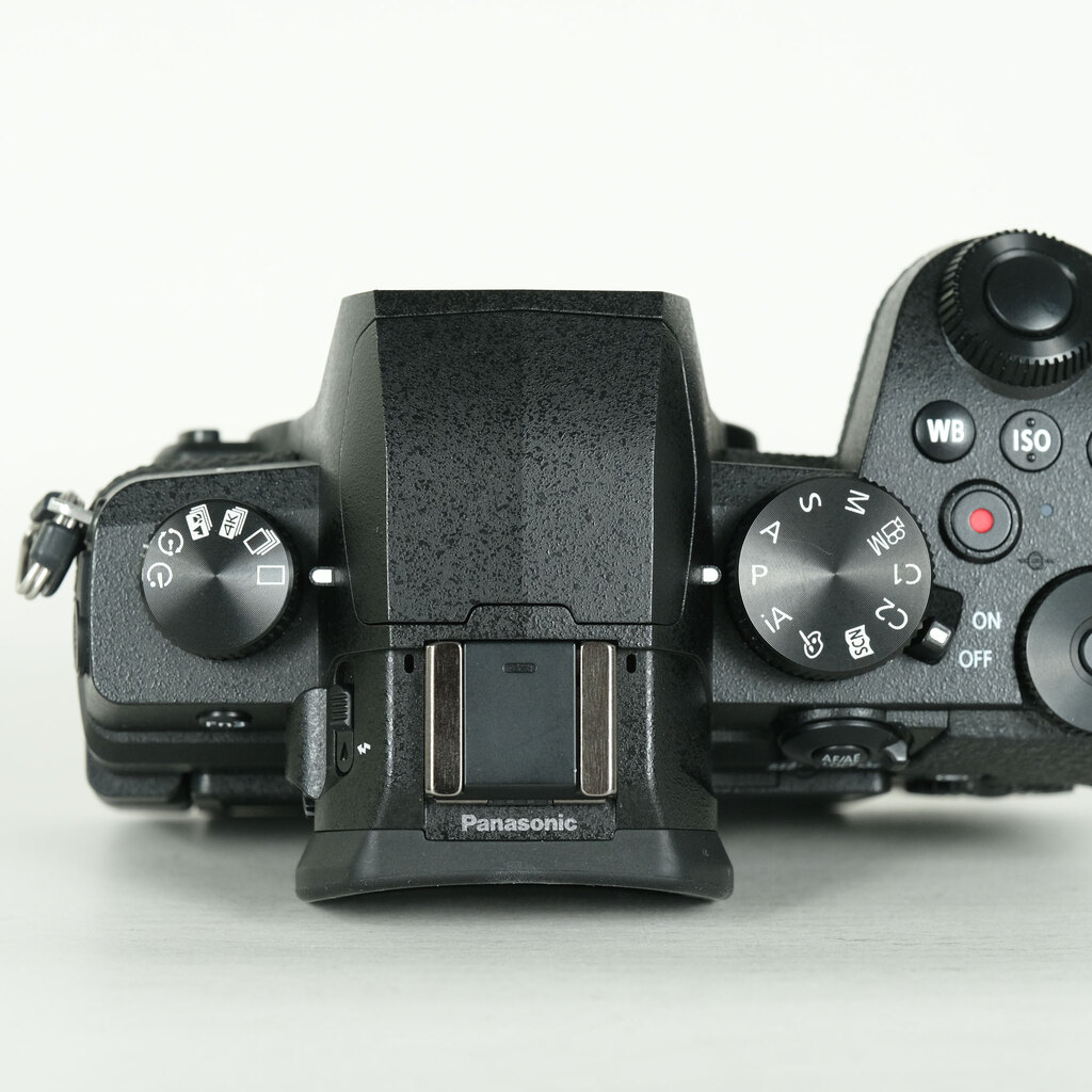 Panasonic LUMIX DC-G99 Panasonic LUMIX DC-G99