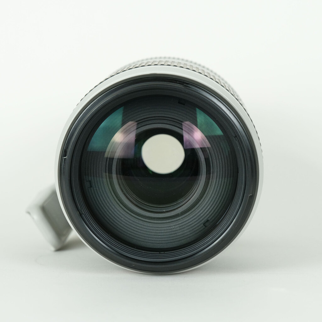 Canon EF100-400mm F4.5-5.6L IS II USM