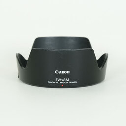 Canon EF24-105mm F4L IS II USM