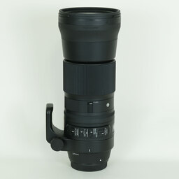 SIGMA 150-600mm F5-6.3 DG OS HSM | Contemporary [キヤノンEF用]