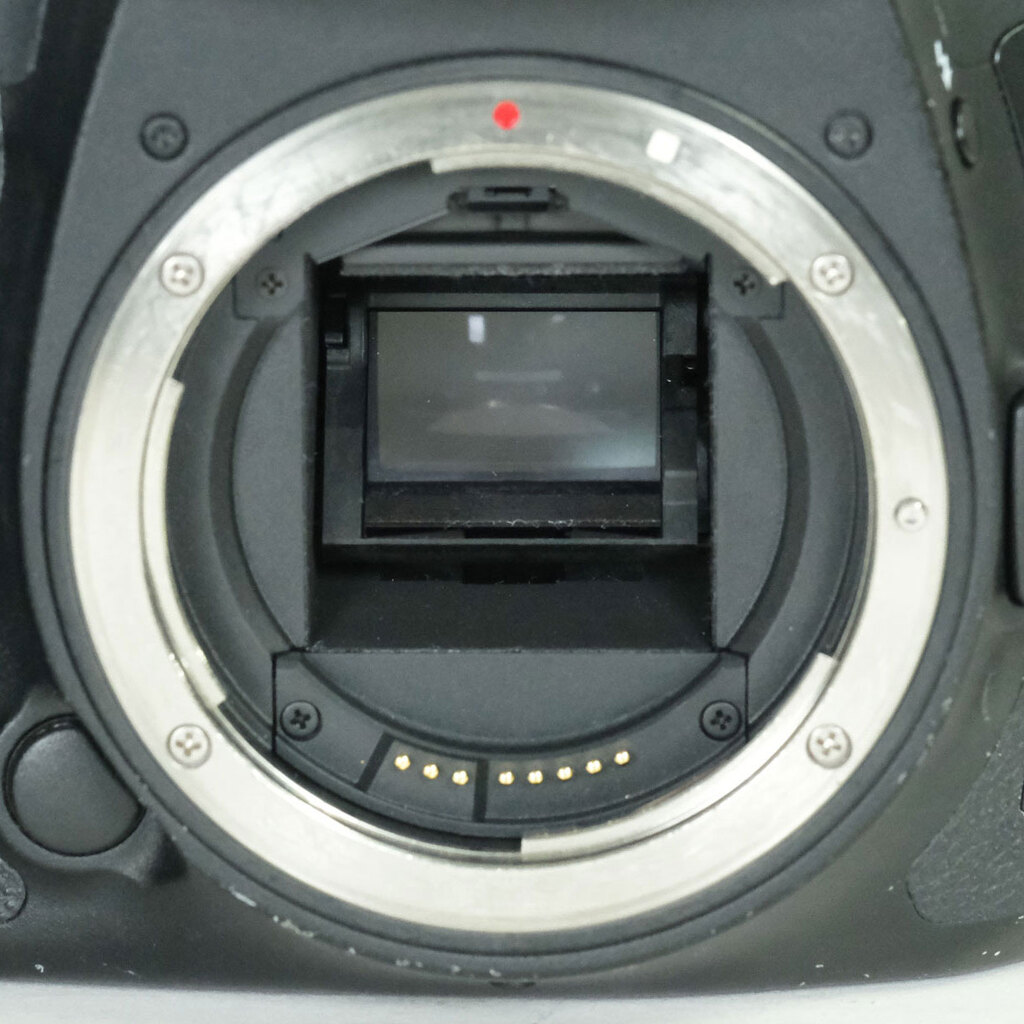 Canon EOS 7D Mark II