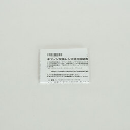 Canon RF24-105mm F4 L IS USM