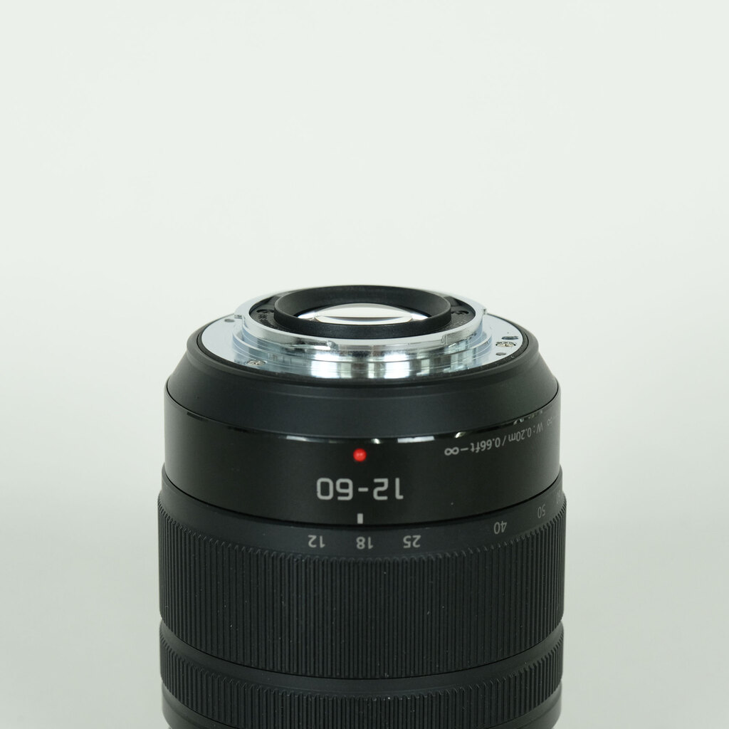 Panasonic LUMIX G VARIO 12-60mm / F3.5-5.6 ASPH. / POWER O.I.S.の