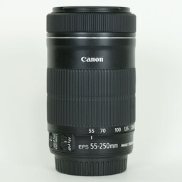 Canon EF-S55-250mm F4-5.6 IS STM