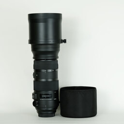 SIGMA 150-600mm F5-6.3 DG OS HSM | Sports [キヤノン用]