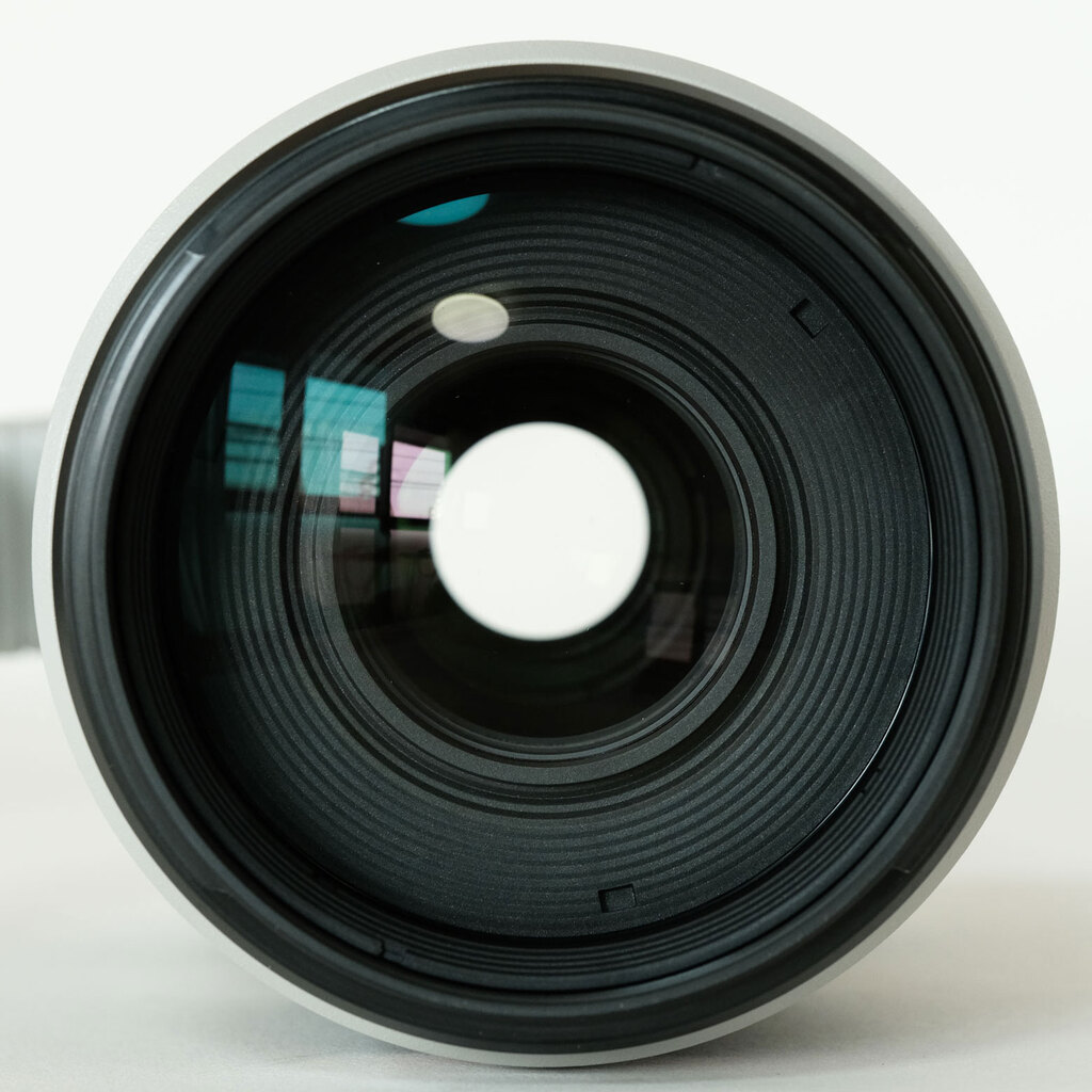 Canon EF100-400mm F4.5-5.6L IS II USM