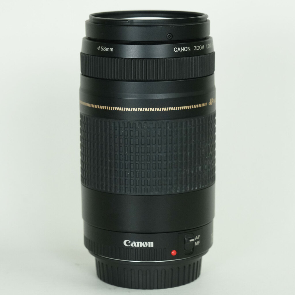 Canon EF75-300mm F4-5.6 II USM