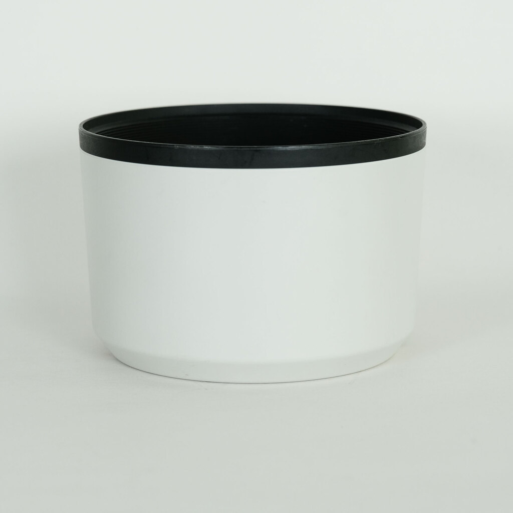 Canon RF70-200mm F2.8 L IS USM