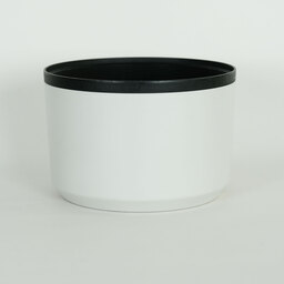 Canon RF70-200mm F2.8 L IS USM