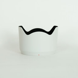 SONY FE70-200mm F4 Macro G OSS II SEL70200G2