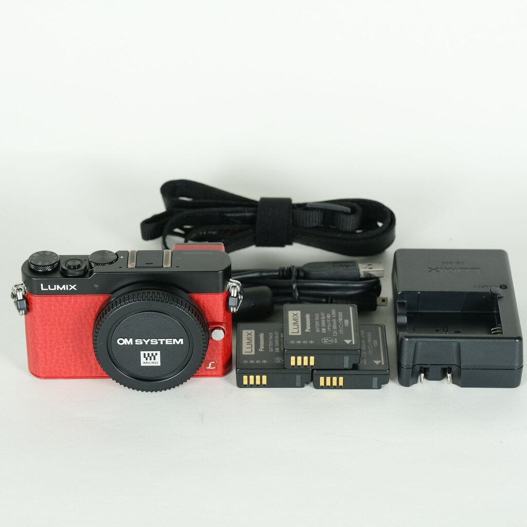Panasonic LUMIX DMC-GM5ボディ レッドの出品 | ONE SCENE（ワンシーン）