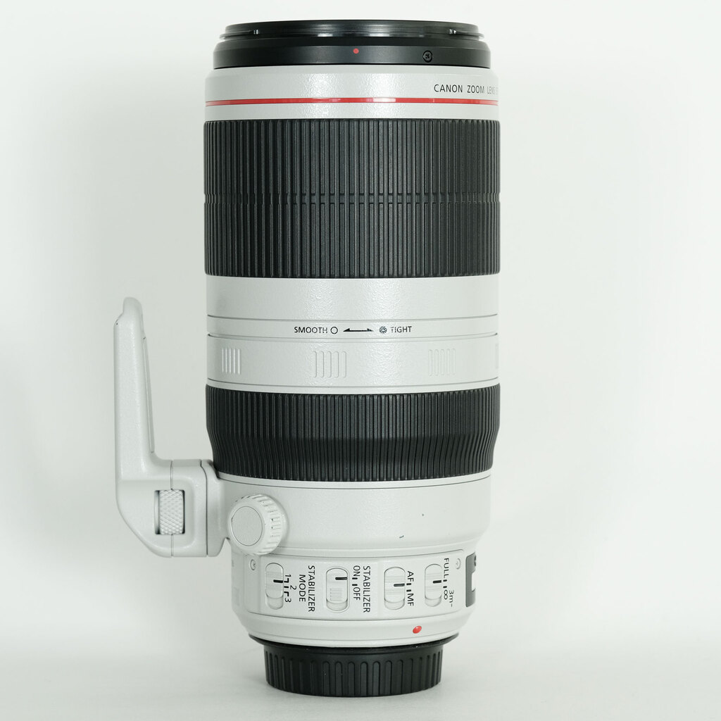Canon EF100-400mm F4.5-5.6L IS II USM