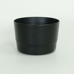 Canon EF-S55-250mm F4-5.6 IS STM