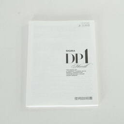 SIGMA DP1 Merrill