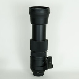 SIGMA 150-600mm F5-6.3 DG OS HSM｜Contemporary [ニコンF用]