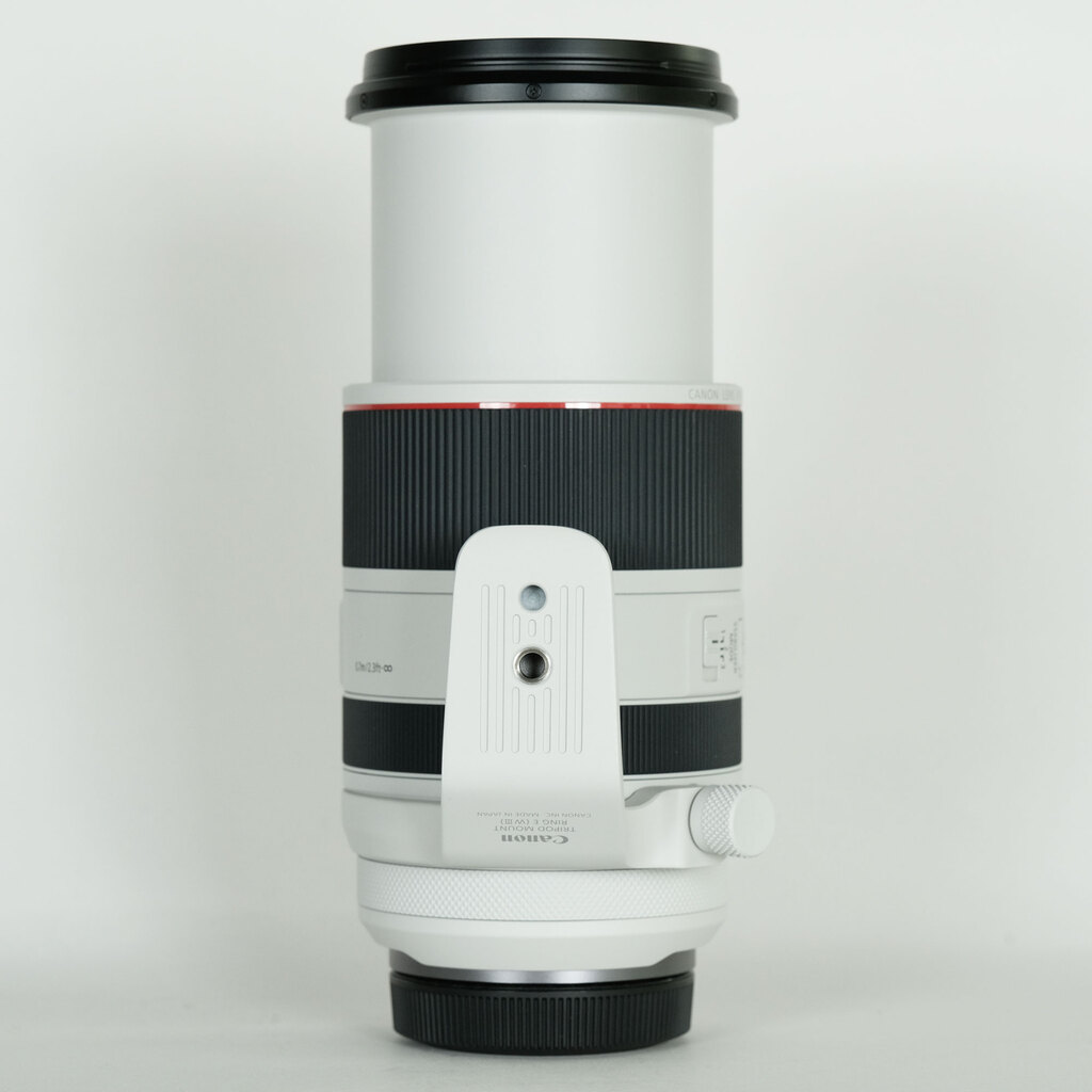Canon RF70-200mm F2.8 L IS USM