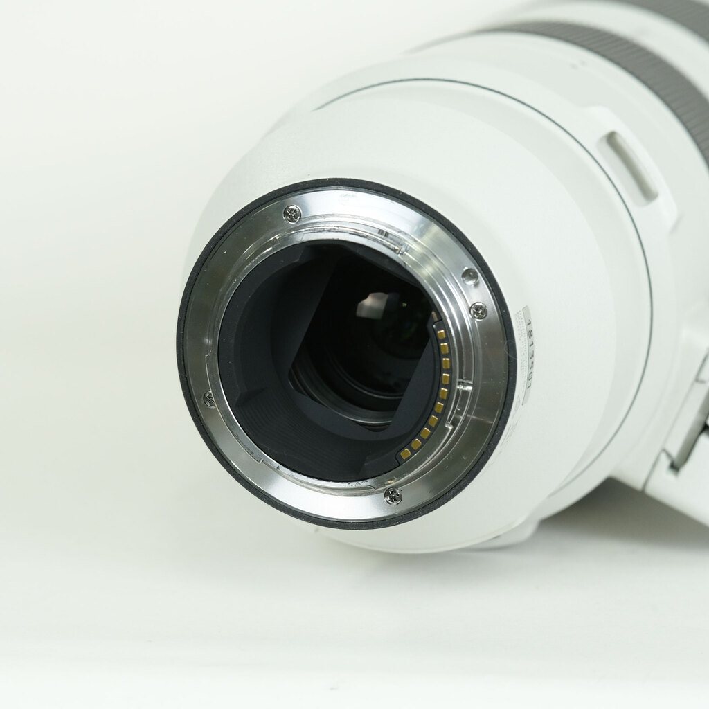 SONY FE 200-600mm F5.6-6.3 G OSS SEL200600G