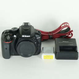 Nikon D5300