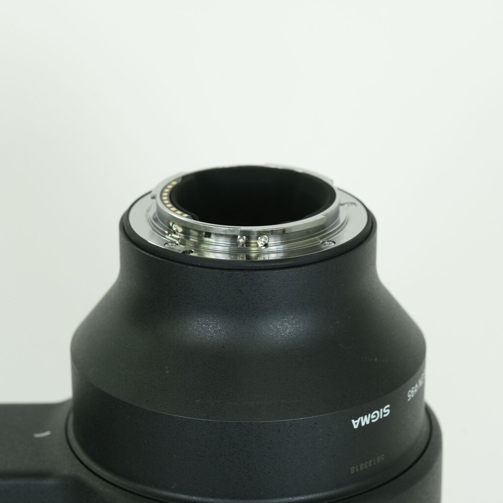 SIGMA 150-600mm F5-6.3 DG DN OS｜Sports [ソニーE用]