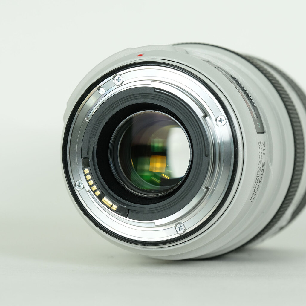 Canon EF70-300mm F4-5.6L IS USM