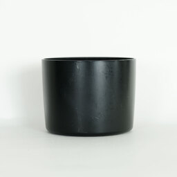 Canon EF135mm F2L USM